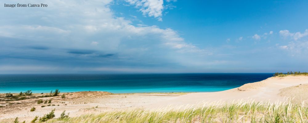 Why Michigan is a solid market, how to work within the current rules, how your income taxes can be reduced, how to evaluate properties for profitability, how to buy a property well, and how to manage it well for success.